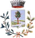 Stemma Comune di Pianiga